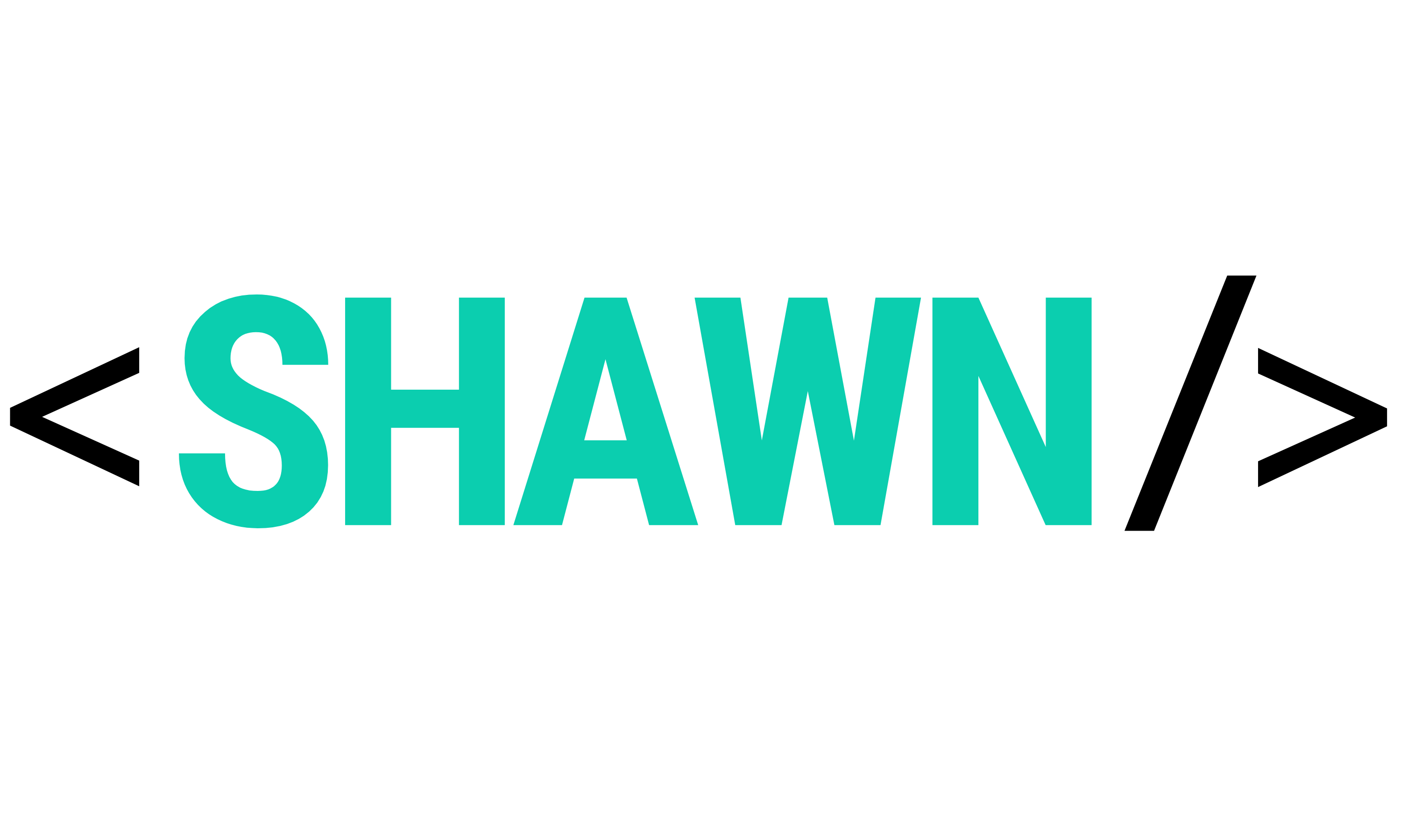 Shawn Leow's Portfolio